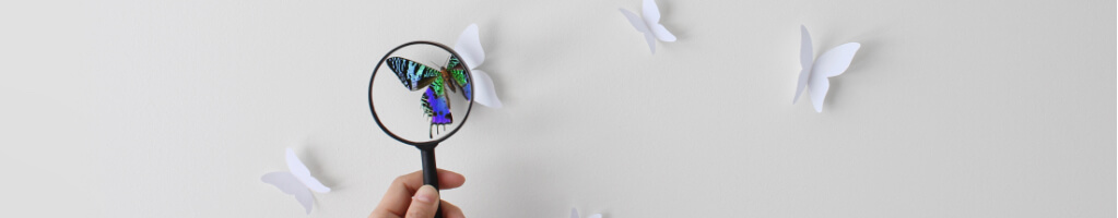 Magnifying glass and butterfly